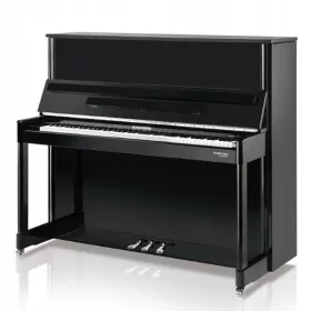 Profesionalni klavir W.Hoffmann P126