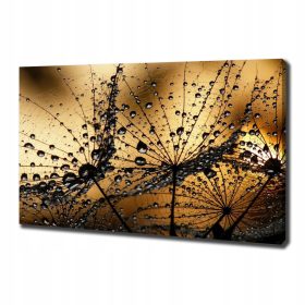 Foto slika na platnu Sjemenke maslačka 100x70 cm