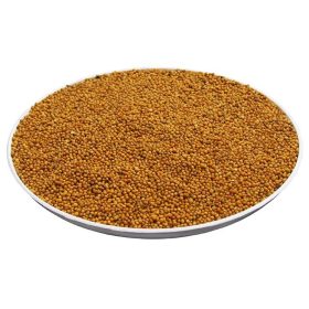  ŽUTA GORIVA sjeme POLJSKA 25 kg