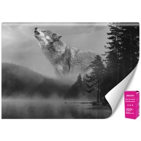 3D FOTO POZAPETA ŠUMSKI VUK 400x280