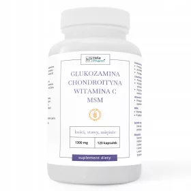   Glukozamin, Hondroitin, Vitamin C, MSM - Kapsule za Zdravlje Zglobova 120 kom