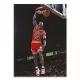  SLIKA NA PLATNU ZA DNEVNI BORAVAK MICHAEL JORDAN 70x100