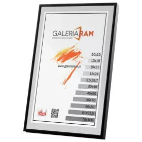   Poster Alu G okvir arhitektura, crno-bijeli, obrazovni, film, igre, humor, kulinarstvo, ljudi, karte, automobili, glazba, krajolici, biljke, sport, umjetnost, životinje metal 140 x 100 cm