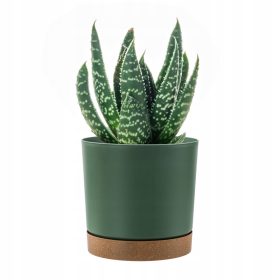    Prosperplast saksija 23,1 cm x 23,9 x 23,1 cm promjer 23,9 cm plastične nijanse zelene