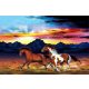 FOTO POZAPETA KONJI GALOP ZALAZAK SUNCA PLANINE 360x240