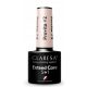 CLARESA NAIL CARE VITAMINSKA BAZA 5u1 PROVITA boja #2 5g