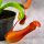 Nepenthes alata Winter Security za INSEKTE 9cm - Dzbanecznik skrzydlaty zaštita od insekata zimsko