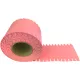  ETIKETE ZA TERMO TRANSFER PRINTERE 17x100mm
