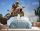 FOTO TAPETA netkana MOTOCROSS CROSS RACE 330x230