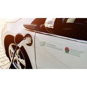 Električar Program Naljepnica 45 cm