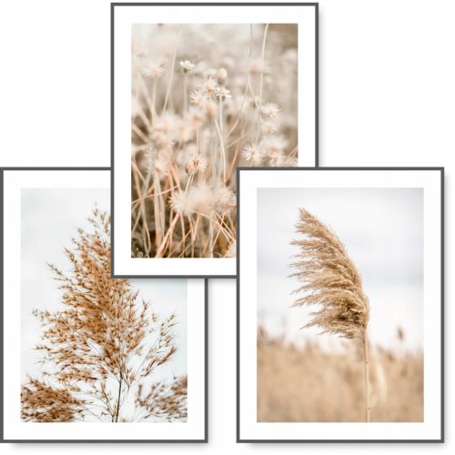  BOHO set od 3 slike 30x40 NATURE GRASS poster #12
