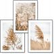  BOHO set od 3 slike 30x40 NATURE GRASS poster #12
