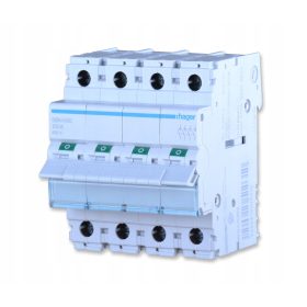 Hager rastavljač 230 V IP20 100 A