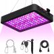 Panel za uzgoj biljaka - Profesionalni Full Spectrum LED Grow Light za unutarnji uzgoj biljaka HRZ 1000 W