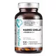 MyVita Magnez u Chelat Formi sa Vitaminom B6 - 120 Kapsula