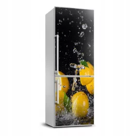 Naknada za hladnjak u kućanstvu, Limun furnir, 70x190