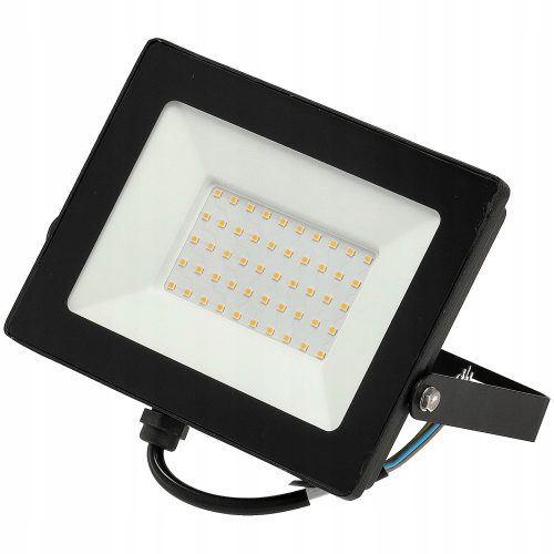 Halogeni reflektor LED 50W 4250 lm za zimu IP65