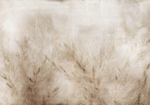 FOTO TAPETA TRAVA LIVADA PRIRODA 400x280 bC-10315-aa