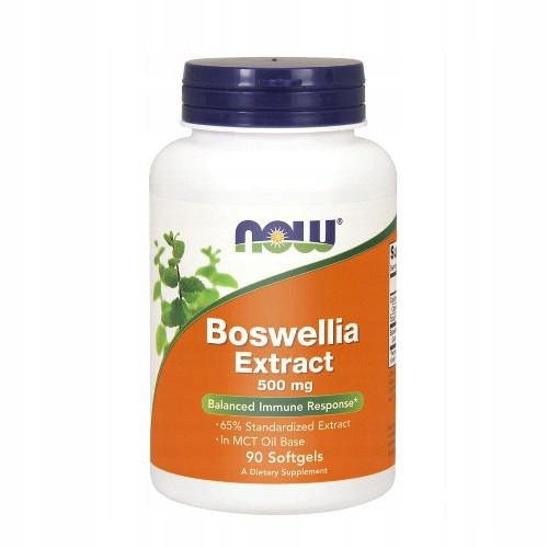 Boswellia Extract Plus 500 mg 90 kapsula