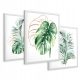 Uokvirene slike palme monstere zlatni triptih 43x99