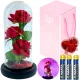 VJEČNA RUŽA LED SVJETLO VALENTINOVO