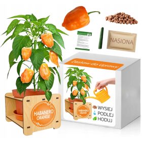 ILI HABANERO ZLATNA PAPRIKA - KOMPLET ZA SADNJU