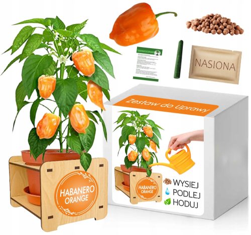 ILI HABANERO ZLATNA PAPRIKA - KOMPLET ZA SADNJU