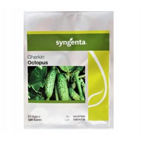 Ogórek Octopus 500 sjemenki