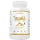 Himalajski Mumio 400mg Shilajit Ekstrakt - 90 kapsula za imunitet i energiju