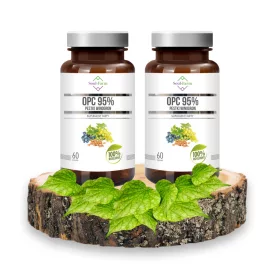   Ekstrakt iz Koštica Grožđa 95% OPC (450mg) - Paket od 2 Kutije, Ukupno 120 Kapsula