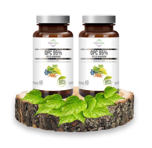Ekstrakt iz Koštica Grožđa 95% OPC (450mg) - Paket od 2 Kutije, Ukupno 120 Kapsula