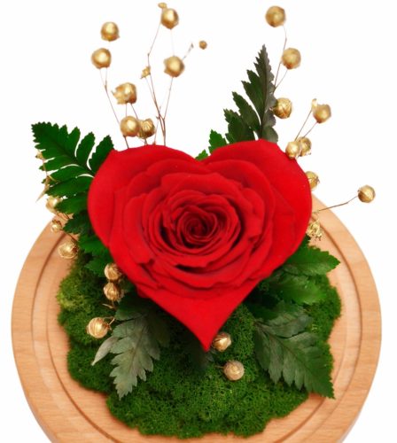 Vječna ruža u staklu sa srcem - Luksuzna poklon ideja za Valentinovo
