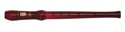  ARS Nova 1 DZ snimač
