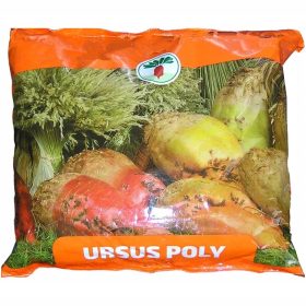 BURAK PASTEWNY URSUS POLY 1kg