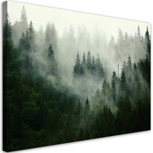 Slikovni prikaz na platnu, šumska scena u magli, dimenzija 120x80 cm