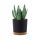  Prosperplast saksija 30 cm x 30 x 28 cm promjer 30 cm plastična crna, grafit