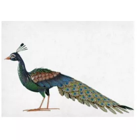  Ukrasna metalna vrtna figura ŠAPA, visina 52 cm