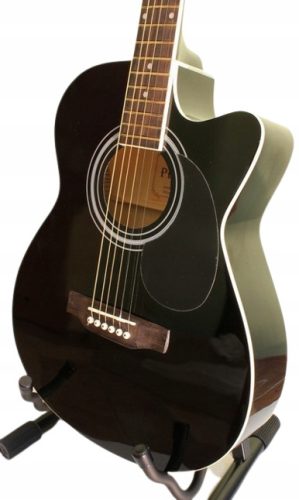 PREKRASNA PROFESIONALNA AKUSTIČNA GITARA Z DINAMIČNIM ZVUKOM