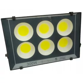   Hladno bijela LED reflektorska žarulja sa 30000 lm i snagom od 300 W