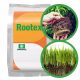 Ukorjenjivač za biljke i travu ROOTEX 1 kg