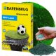  Barenbrug Play & sport sportska trava 50 m² 1 kg