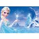 Zidna slika FROZEN 01 368x254