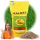 Mješavina trava za suha područja SAHARA Kalnas 10kg