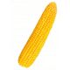 Corn Legion sjeme silaže zrna FAO 260