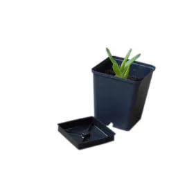   Europlastična posuda za cvijeće 9 cm x 9 x 10 cm, crna plastika