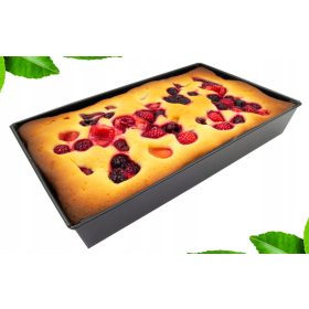  Klasični Meyerhoffov obrazac 23,5 x 39,5 cm