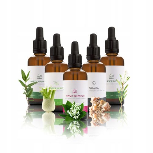 ETERIČNA ULJA ZA SAUNU SET 5x50ML BR.11
