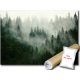 FOTO TAPETA ŠUMSKO DRVEĆE 19A F2XL 312x219 F13026