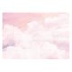 Zidna slika SKY CLOUDS Girl Pink 416x254