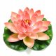  Deep Aqua Lilia for the Salmon Pond, 28 cm